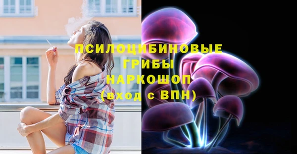 прущие крисы Армянск