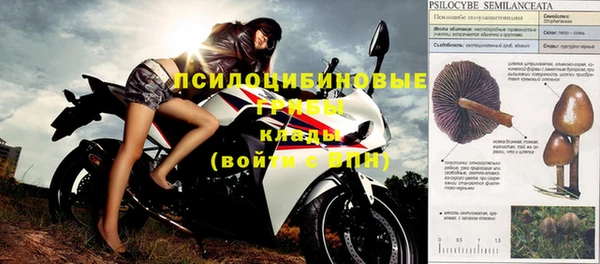 прущие крисы Армянск
