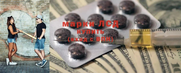 ПСИЛОЦИБИНОВЫЕ ГРИБЫ Арсеньев