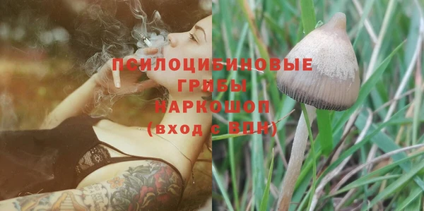 ПСИЛОЦИБИНОВЫЕ ГРИБЫ Арсеньев