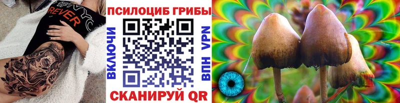 MEGA как зайти  Слюдянка  Галлюциногенные грибы Psilocybe 